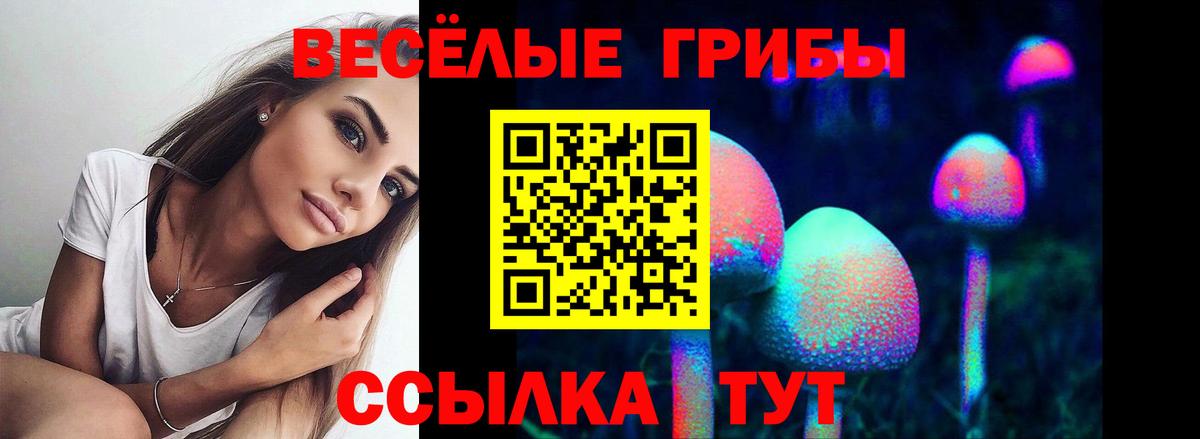 Галлюциногенные грибы Cubensis Моршанск